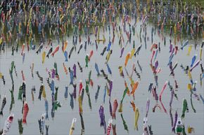Carp streamers drifting through the sky