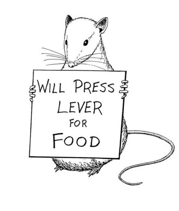 Behaviorism