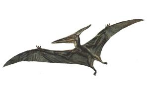 Pterosaur Big Old