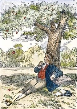 Image-26