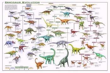 Dinosaur Evolution Poster