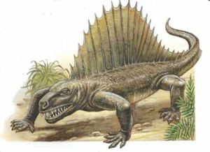 Dimetrodon