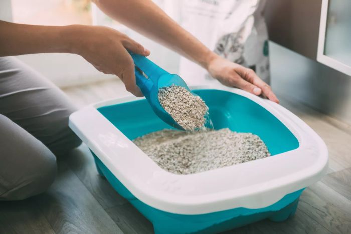 A close-up of a woman cleaning a cat litter box at home.