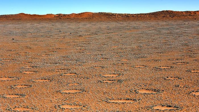 The fairy circles scattered across the Namib Desert