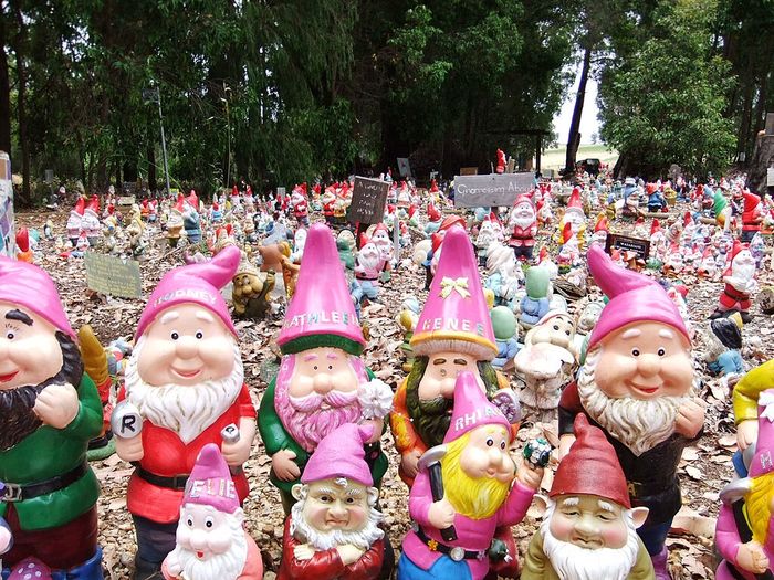 https://upload.wikimedia.org/wikipedia/commons/thumb/a/ab/The_Gnomes_of_GnomeVille.jpg/1024px-The_Gnomes_of_GnomeVille.jpg