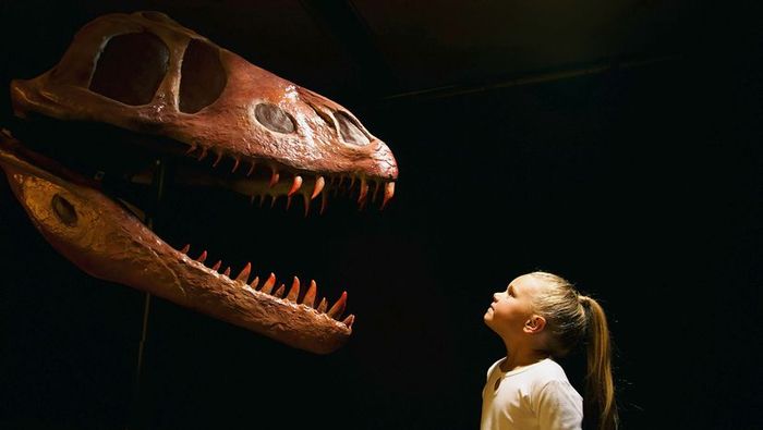 A young girl standing before a dinosaur skull set against a dark backdrop