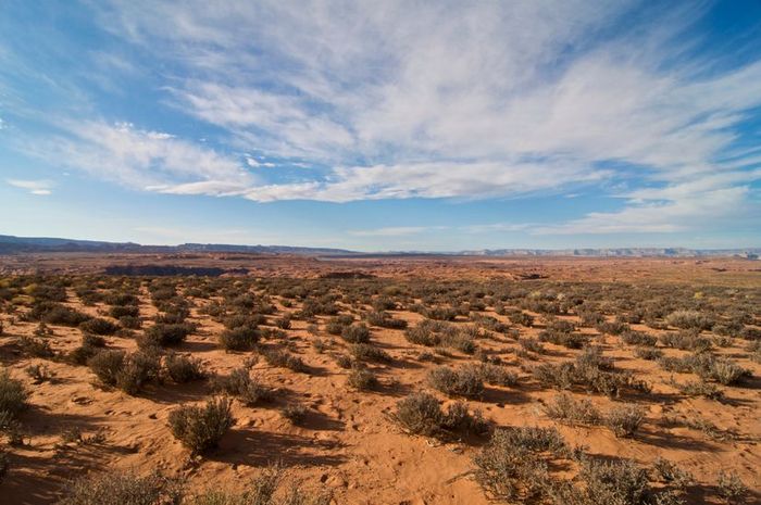 The Arizona desert stretches endlessly across the landscape.
