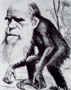 Darwin