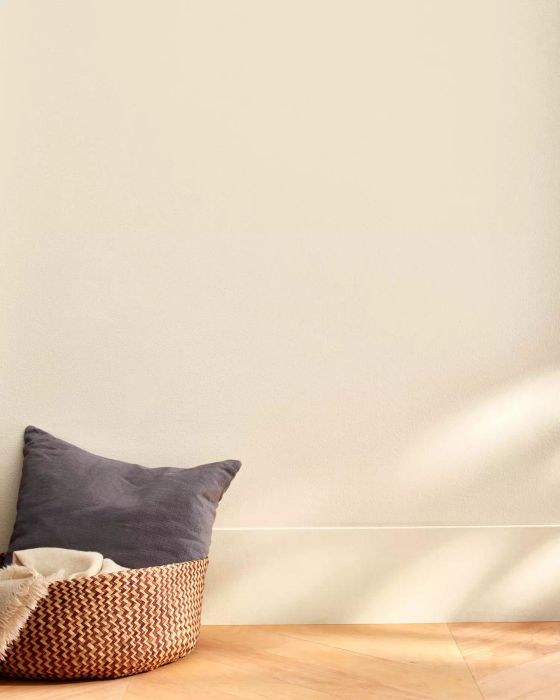 A wall painted in a bone white shade