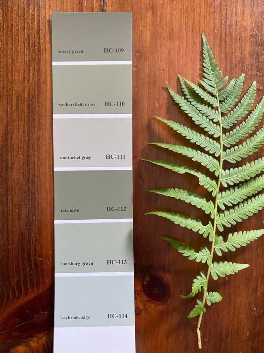 Benjamin Moore Green Paint Color Swatch