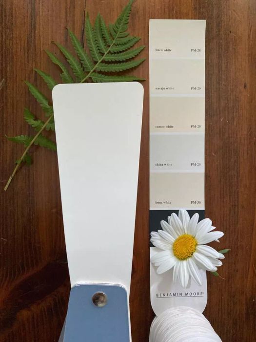 Benjamin Moore White Paint Color Swatch
