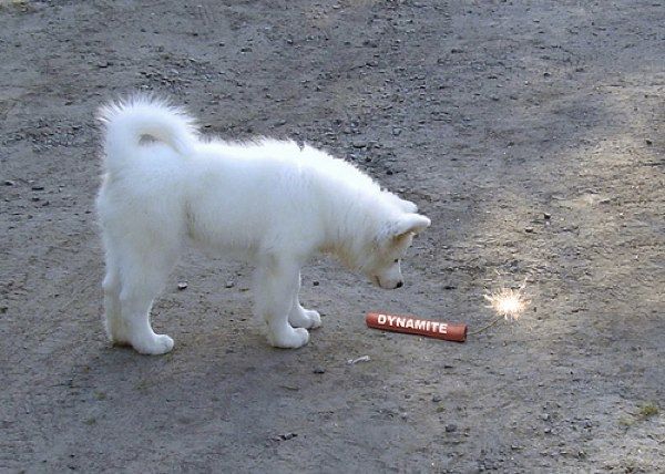 5251359119 918Caf10C9