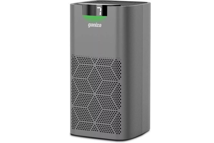 Air Purifiers for Large Rooms at Home