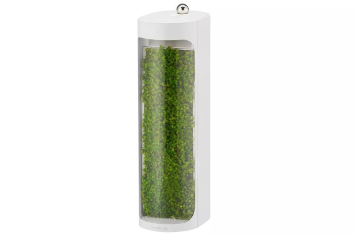 natural-air-enhancement-with-living-moss