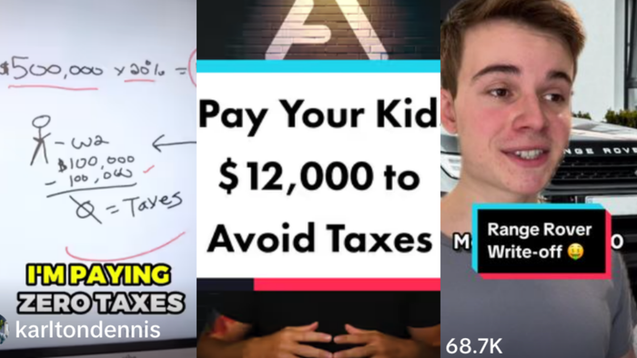 Examples of deceptive TikTok video content