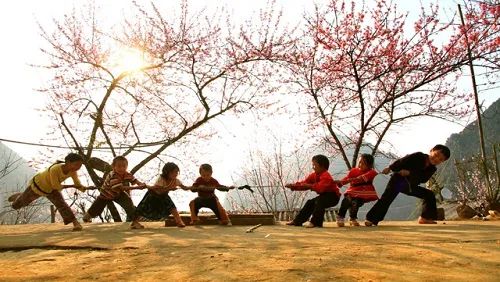 6 tap tuc truyen thong tiet Thanh Minh khong phai ai cung biet hinh anh