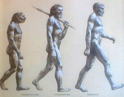 Evolutionary-Std.Jpg