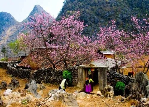 6 tap tuc truyen thong tiet Thanh Minh khong phai ai cung biet hinh anh