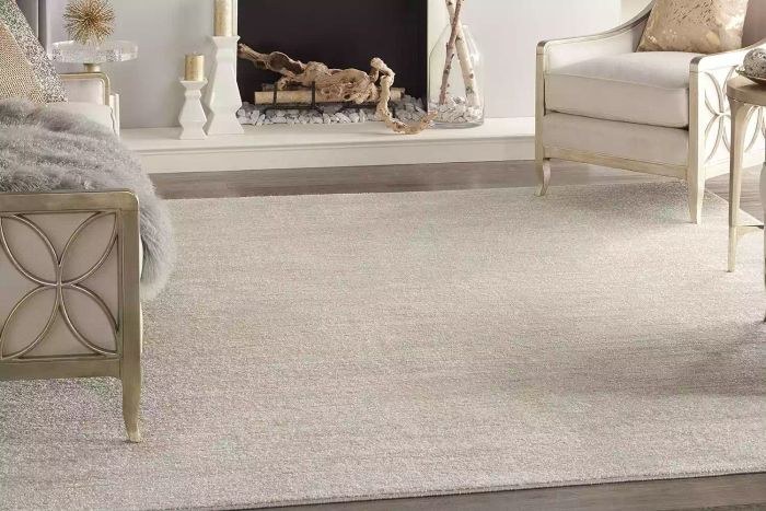 Amazon Nourison Essentials Indoor/Outdoor Ivory Beige 8' x 10' Area Rug