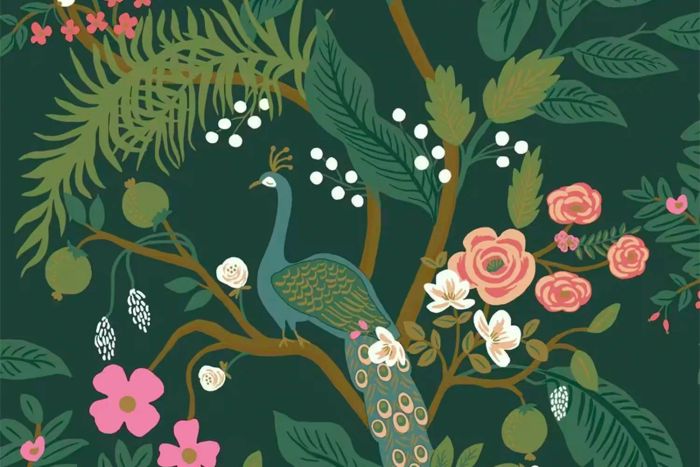 Rifle Paper Co.'s Peacock Wallpaper design