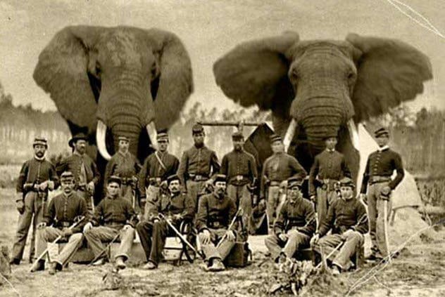8-civil-war-elephants