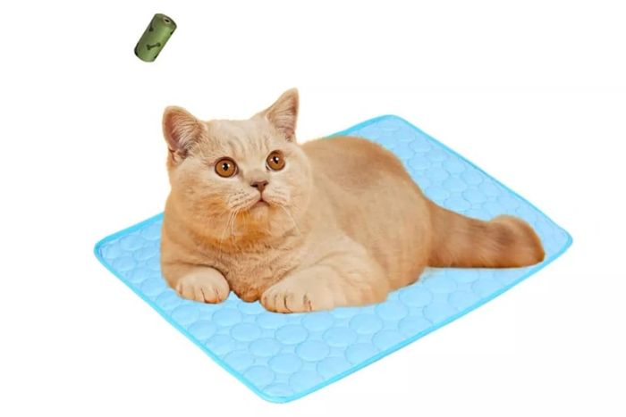 MICROCOSMOS Summer Cooling Mat & Sleeping Pad
