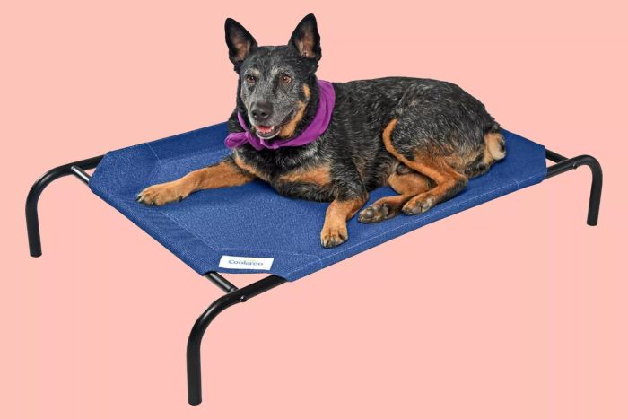 Cooling Dog Bed on Amazon