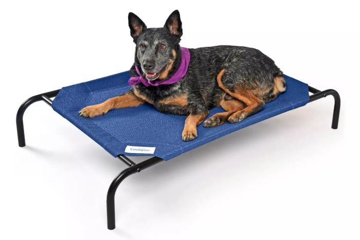 COOLAROO The Original Elevated Cooling Dog Bed