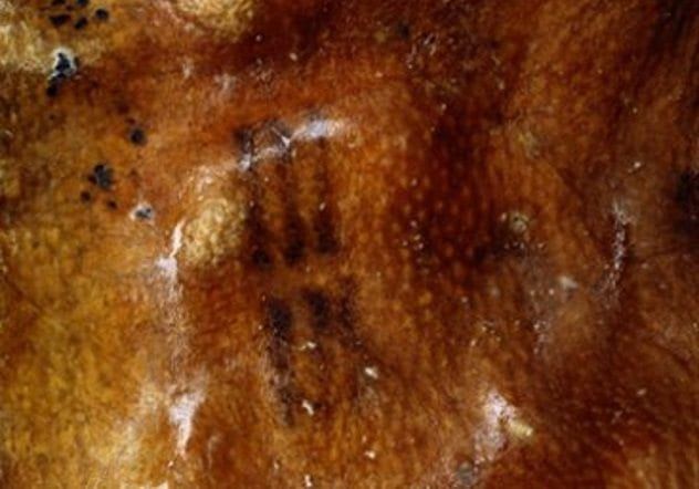 Otzi Tattoos