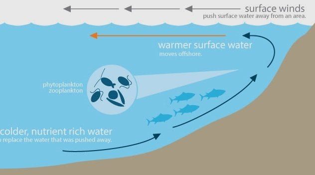 Upwelling