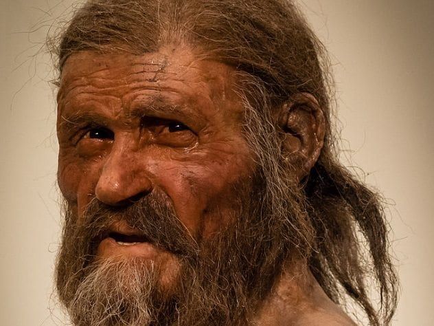 Reconstruction of Otzi