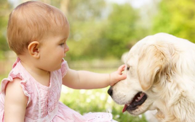 2a-baby-with-dog_23892014_SMALL