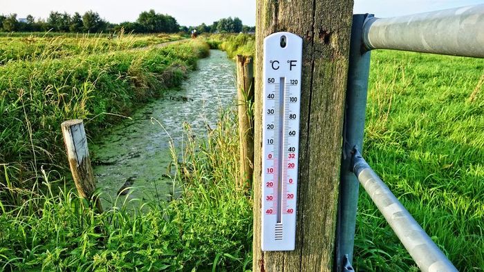 Thermometer