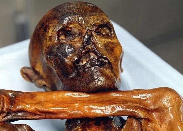 Otzi 2