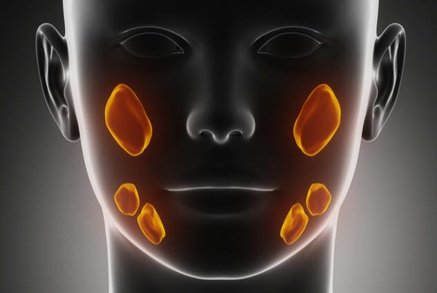 6a-salivary-glands_22856217_SMALL