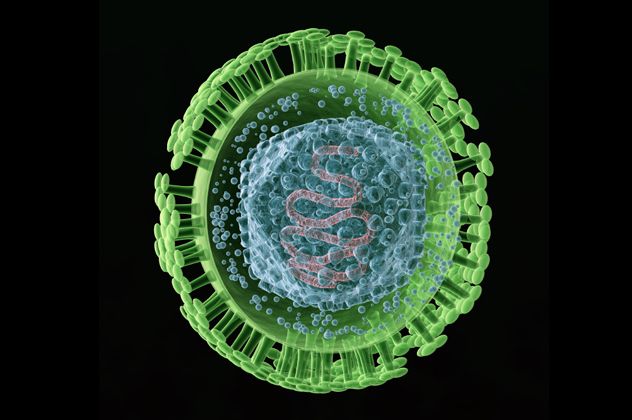 1herpes