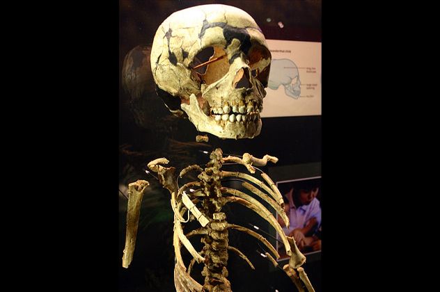 9burial