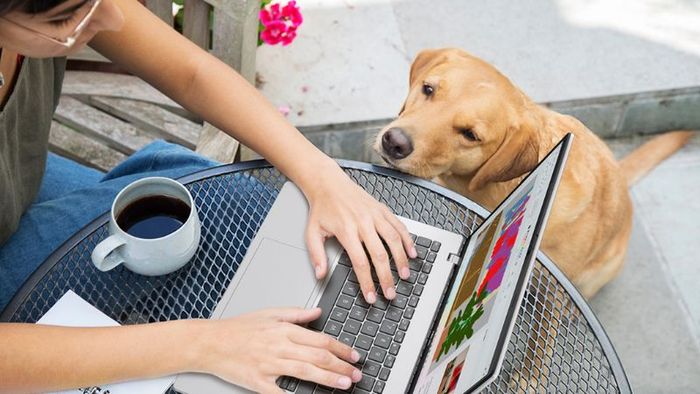laptop AI Asus