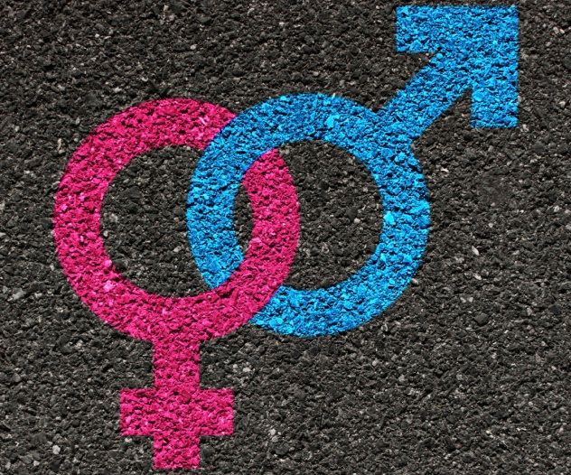 Male and Female Symbols