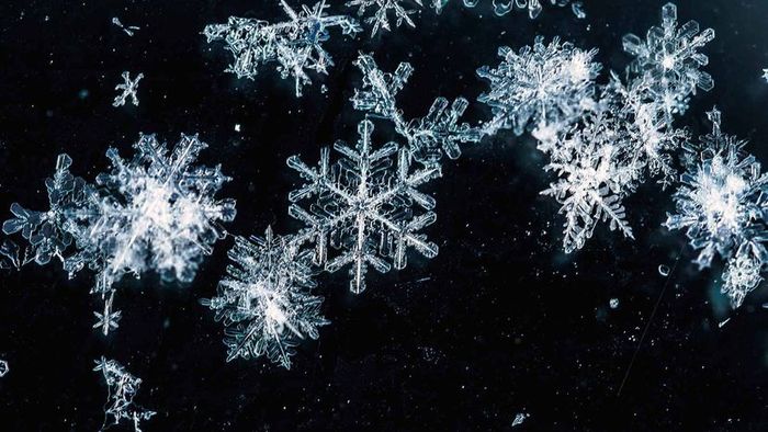 snowflakes