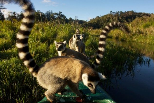 madagascar