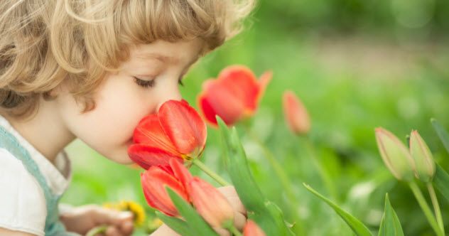10a-autism-smell-test-168731264