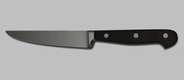 Kitchen Knife