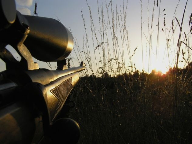 Sharpshooting