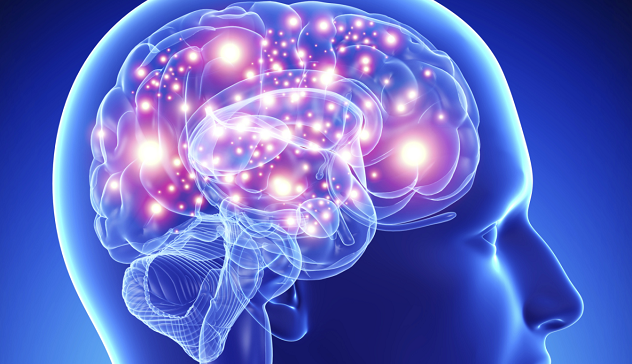 brain
