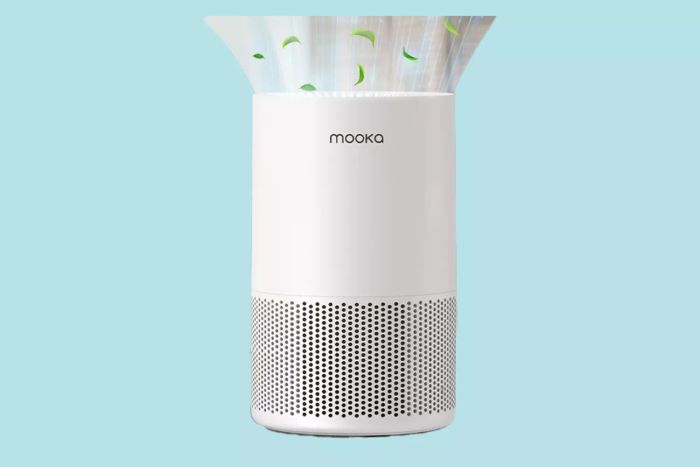 rs-air-purifier-deal-early-prime-day