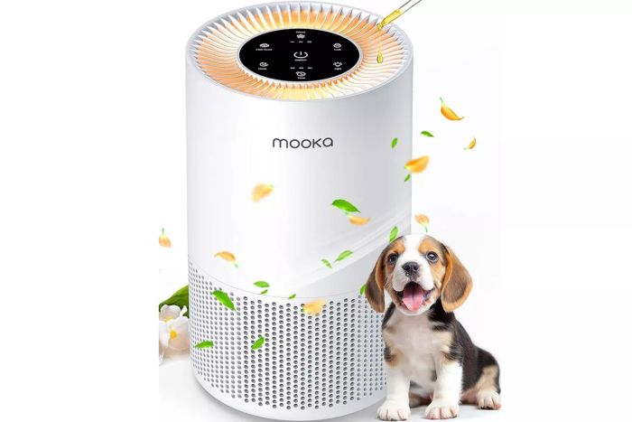 air-purifiers-for-large-home-rooms