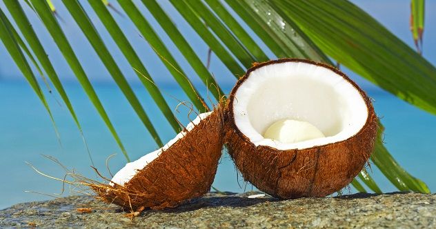 Coconut