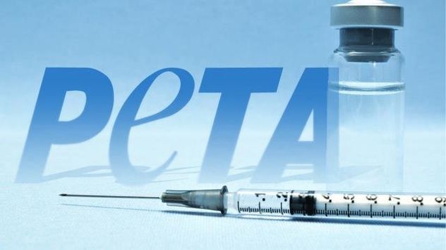 Peta-Needle