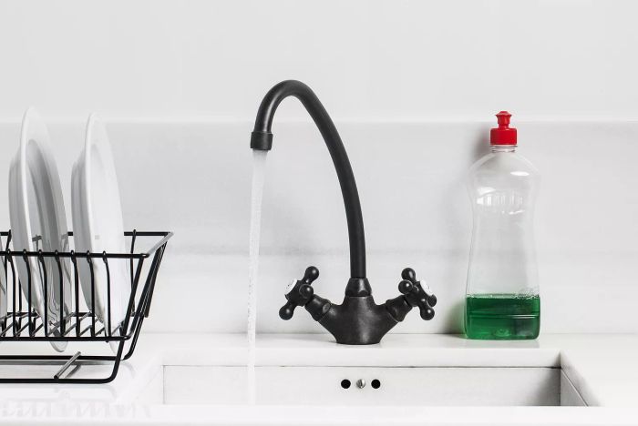 kitchen sink with dish detergent next to it